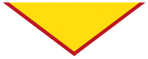 26th Ipswich Scout Group Scarf