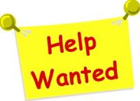 1st Holbrook - looking for a Cub Lead Volunteer